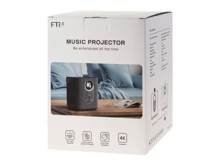 FTM Projektor Pro