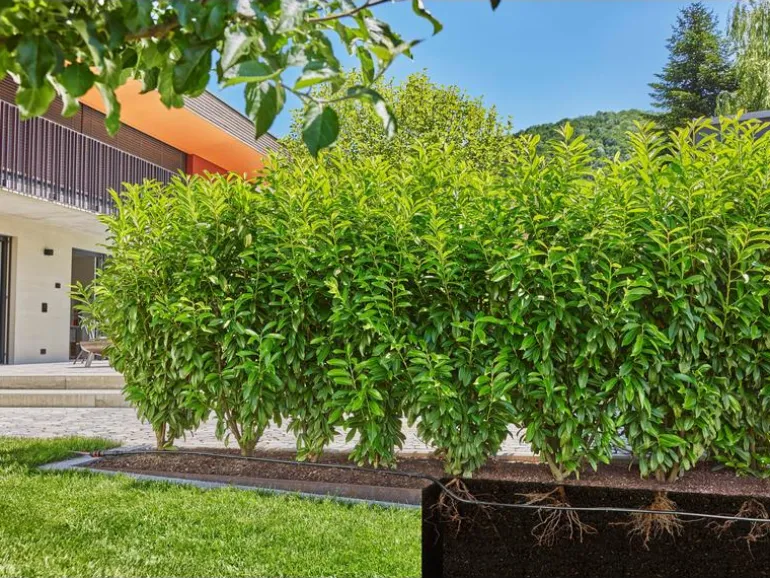 GARDENA Tropfbewässerung Set 50 m Micro-Drip-System