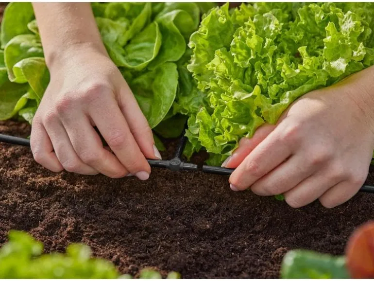 GARDENA T-Stück Micro-Drip-System 3/16", 10 Stück