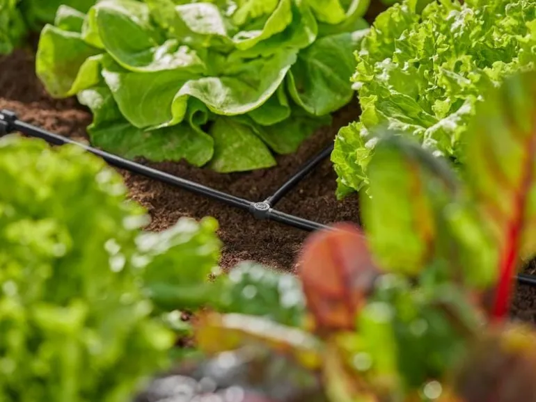 GARDENA T-Stück Micro-Drip-System 3/16", 10 Stück