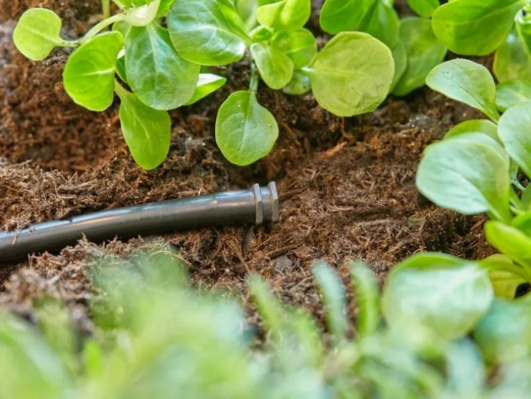 GARDENA Verschlussstopfen Micro-Drip-System 4.6 mm (3/16"), 10 Stück