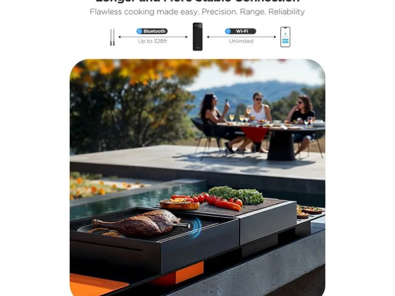 Govee Fleischthermometer