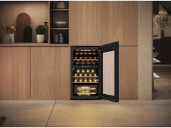 Haier Wine Bank 50 Serie 5 HWS32GDG Wechselbar/Rechts