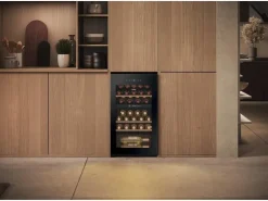 Haier Wine Bank 50 Serie 5 HWS32GDG Wechselbar/Rechts