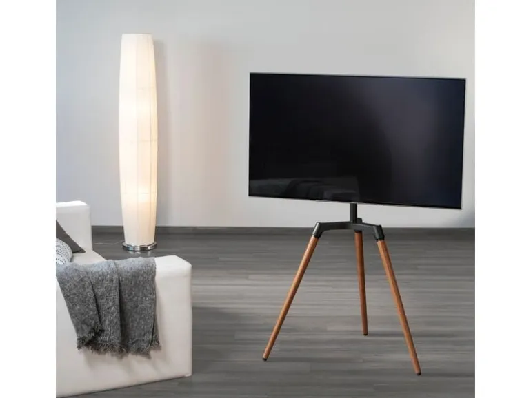 Hama Technics AG TV-Ständer bis 165 cm (65 Zoll) Schwarz