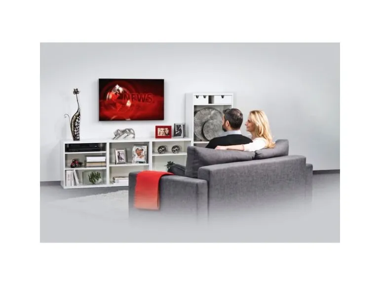 Hama Technics AG TV-Wandhalterung 100" Schwarz