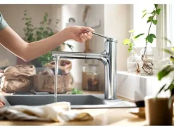 hansgrohe Küchenarmatur Zesis M33 Auszugsbrause, 2 Strahlen, sBox lite