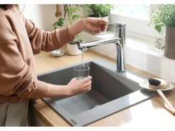 hansgrohe Küchenarmatur Zesis M33 Auszugsbrause, 2 Strahlen, sBox lite