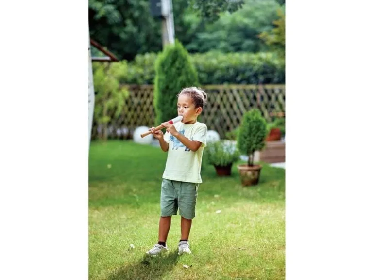 Hape Musikspielzeug Musician's Starter Recorder