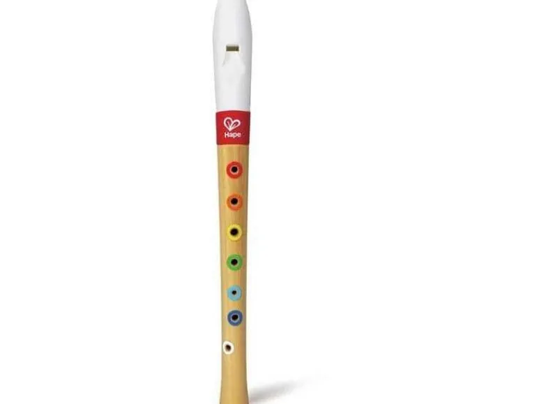 Hape Musikspielzeug Musician's Starter Recorder