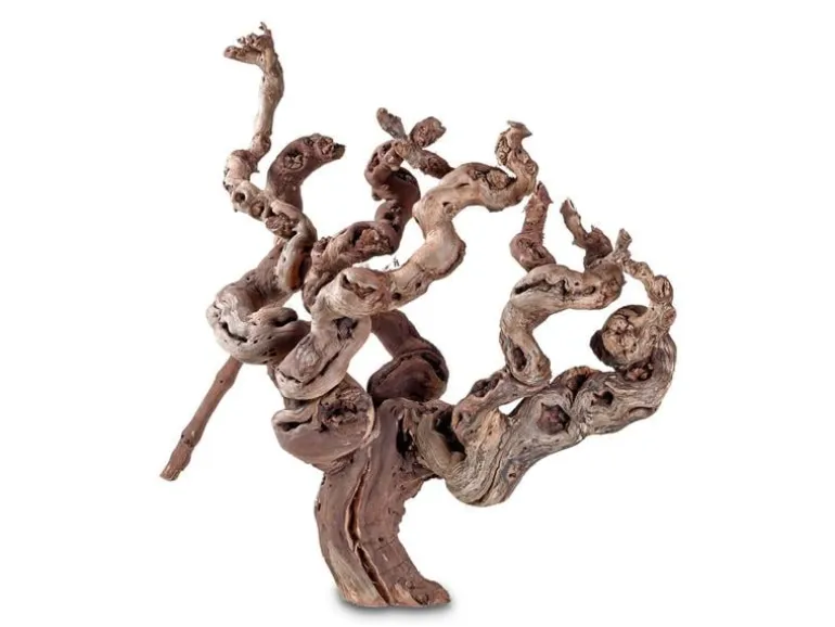 Hobby Terraristik Weinrebenwurzel ca. 30 cm