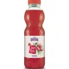 Holderhof Bio Tea Früchte 12 Stück x 0.5 l