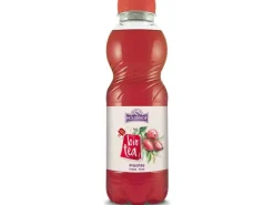 Holderhof Bio Tea Früchte 12 Stück x 0.5 l
