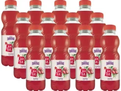 Holderhof Bio Tea Früchte 12 Stück x 0.5 l