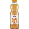 Holderhof Bio Tea Pfirsich 12 Stück x 0.5 l