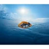 HOVERAir Quadrokopter AQUA Standard (C0 | CE)