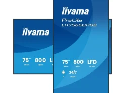 iiyama Public Display ProLite LH7566UHSB-B1AG 75 "