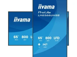 iiyama Public Display ProLite LH6566UHSB-B1AG 65 "