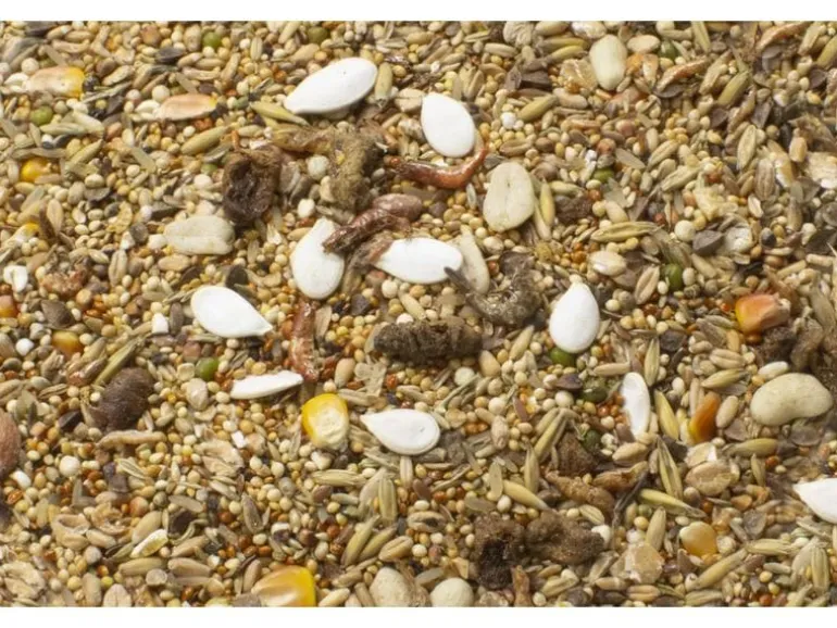 JR Farm Hauptfutter Basic Zwerghamster-Schmaus 600 g