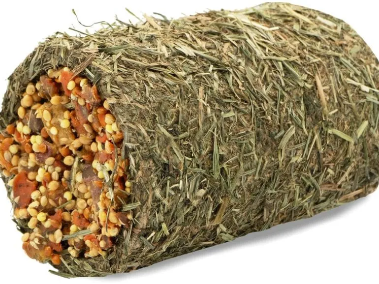JR Farm Heu-Schlemmertunnel Karotte 125 g