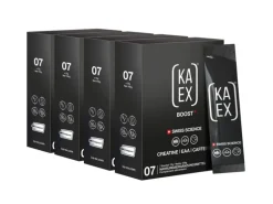 KAEX Pulver BOOST+ 28 x 17g