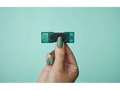 Kingston USB-Stick DataTraveler DuoG2 256 GB