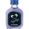 Kleiner Feigling Blueberry 20 x 20 ml