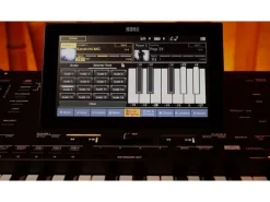 Korg Keyboard Pa5X 61 Oriental
