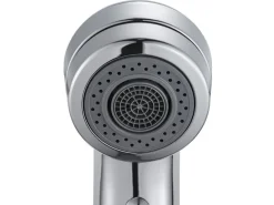 Laufen Küchenbrause Arwa Class 1+2 chrom verchromt