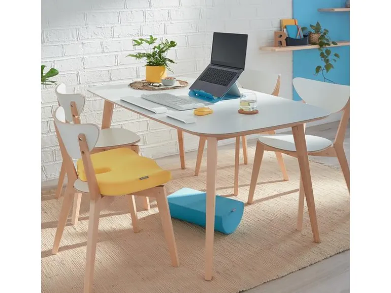 Leitz Ergo Cosy Sitzkissen