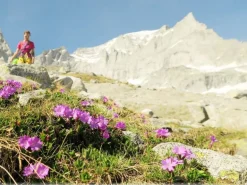 LEKI Wanderstock Makalu FX TA Schwarz/Dunkelblau