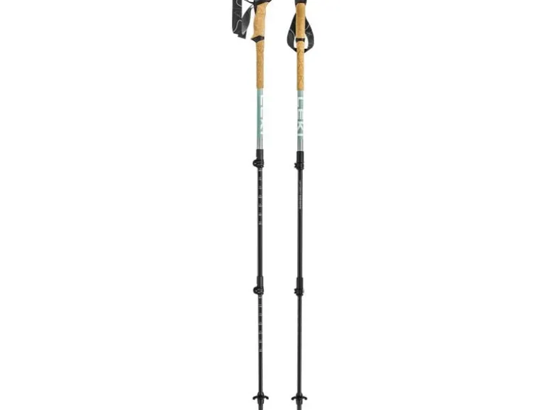 LEKI Wanderstock Makalu Lite Silber/Grüngrau