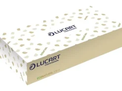 Lucart Eco Natural Kosmetiktuch 2-lagig braun, 100 Tücher