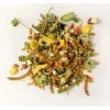 Lucky Reptile Alleinfutter Bearded Dragon Mix Adult, 70 g