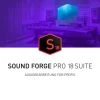 Magix Sound Forge Pro 18 Suite ESD, Vollversion