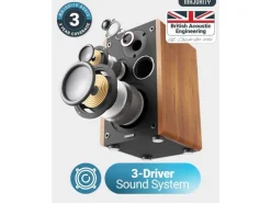 Majority D100 Aktiv Holzgehäuse 100 W Bluetooth 5.3