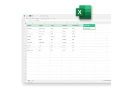 Microsoft Office Home 2024 Vollversion, Französisch