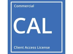 Microsoft Windows Server 2025 User CAL 5er-Pack, OEM, Deutsch