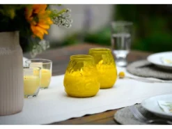müller Kerzen Gartenkerze Citronella in Glas