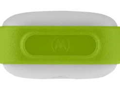 Motorola Funkgeräte-Set T42 Kinderfunk_3xbunt