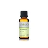 MyBIOLIO Kiefernöl Körperöl 20 ml