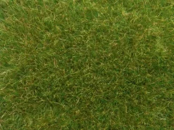 NOCH Wildgras mittelgrün, 9 mm, 50 g H0