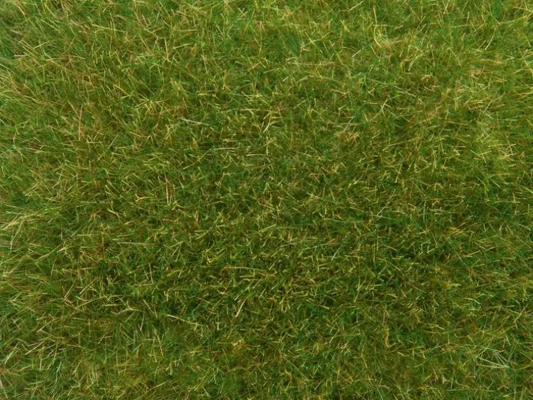 NOCH Wildgras mittelgrün, 9 mm, 50 g H0