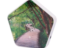 OLYMP Sounds of Nature Box 1 Stück mit 4 Klängen und 12 Motiven