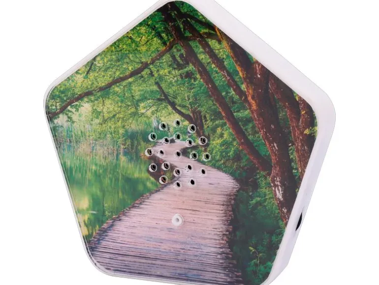 OLYMP Sounds of Nature Box 1 Stück mit 4 Klängen und 12 Motiven