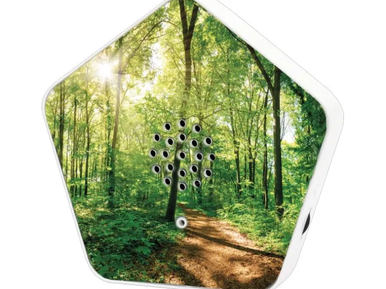 OLYMP Sounds of Nature Box 1 Stück mit 4 Klängen und 12 Motiven
