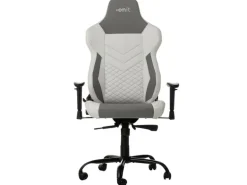 onit Gaming-Stuhl Weiss/Grau