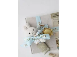 Oykami Erinnerungsbuch erstes Jahr Miffy Blau