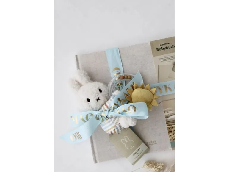 Oykami Erinnerungsbuch erstes Jahr Miffy Blau