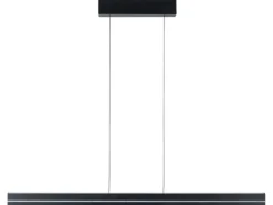 Paulmann LED Pendelleuchte Raiko, Schwarz
